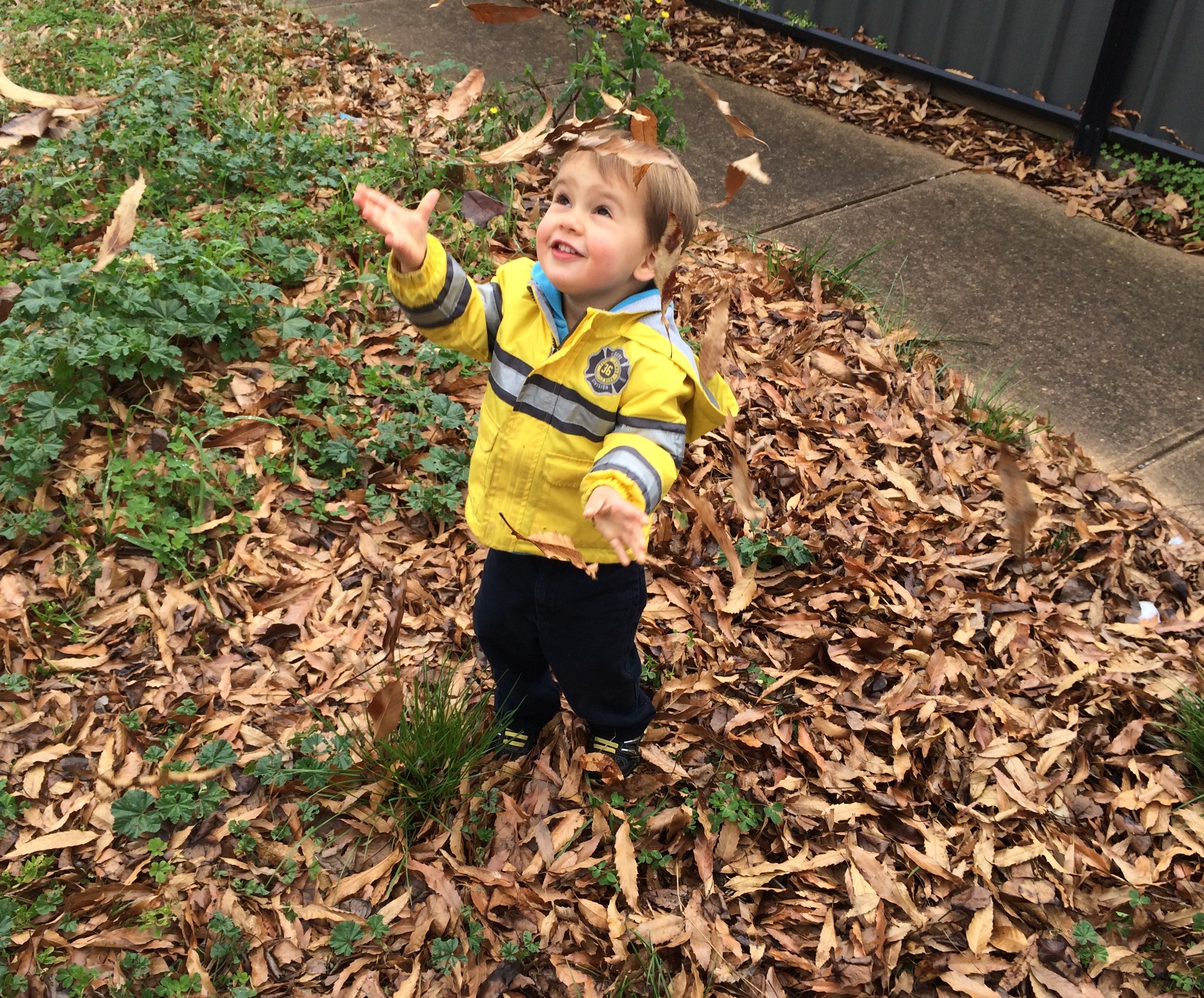 Little Man J in leaves